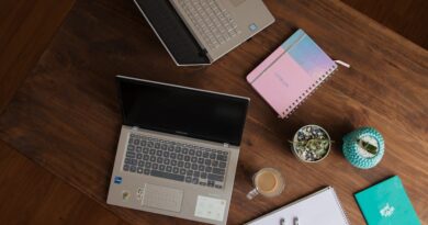 The Role of Breaks in Study Efficiency